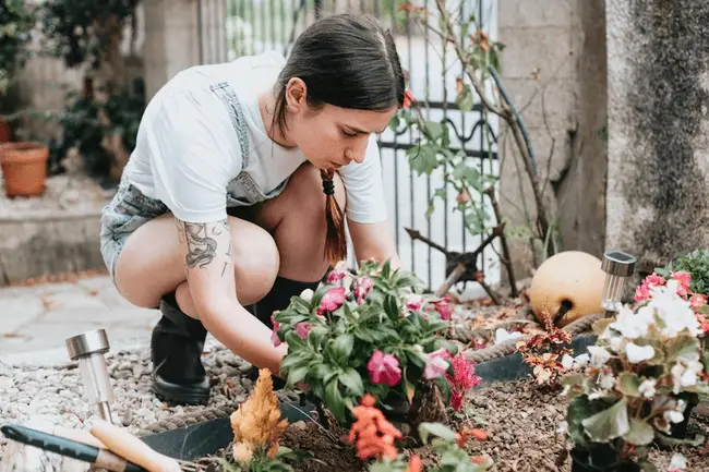 Person tending to flower bed in outdoor garden, surrounded by blooming plants and gardening tools