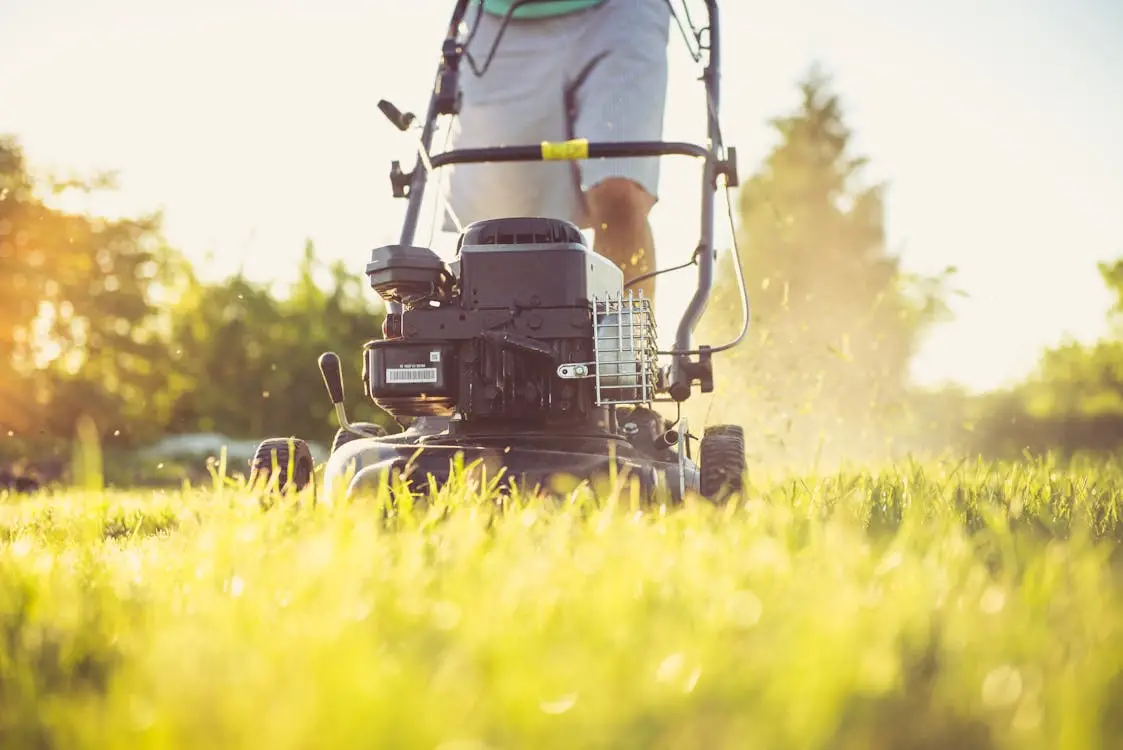 Person mowing a lawn with a gas-powered lawnmower in sunlight