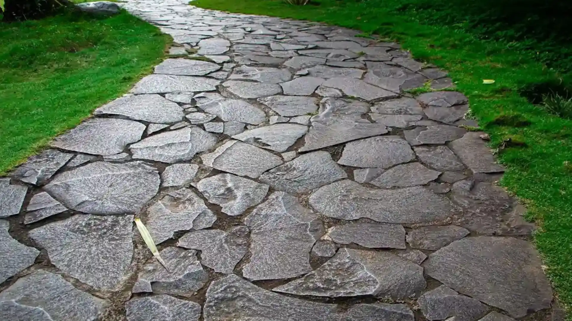 Stepping stone garden path constructed of irregularly shaped, gray flagstones bordered by lush green grass