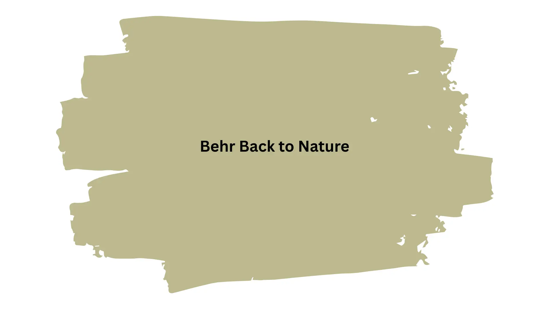 Swatched paint sample in a muted sage green color labeled "Behr Back to Nature" on a white background