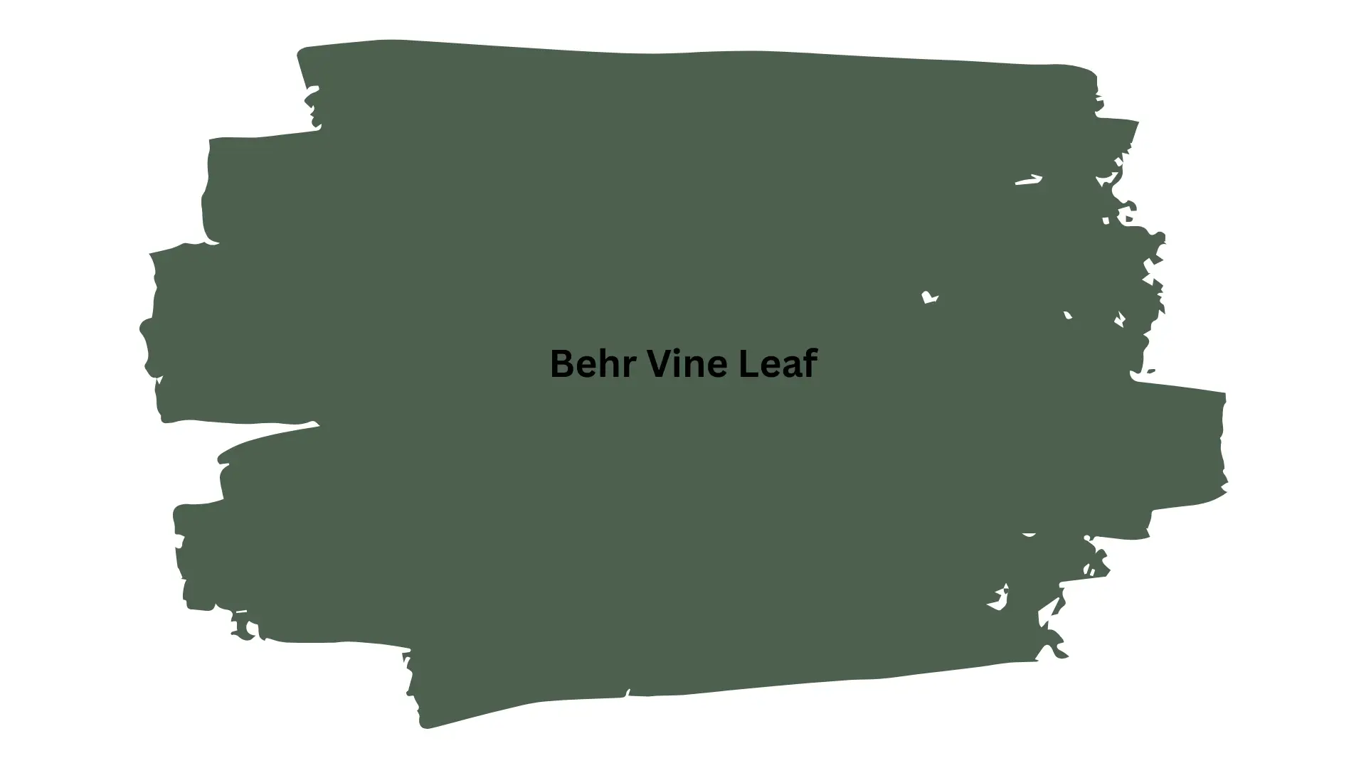 Swatched paint sample displaying Behr Vine Leaf, a dark, muted green color, against a white background.
