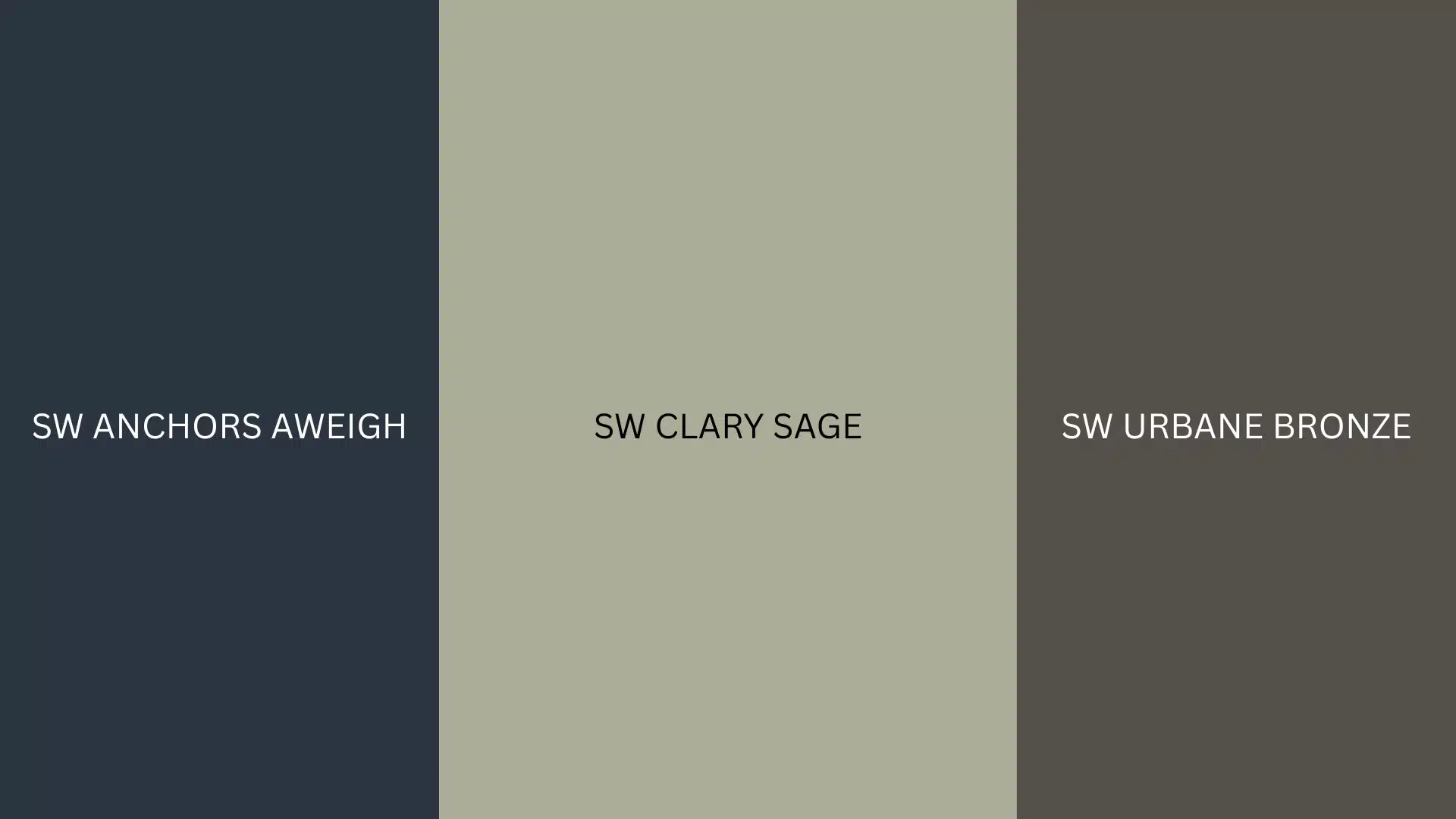 clary sage with deep colors