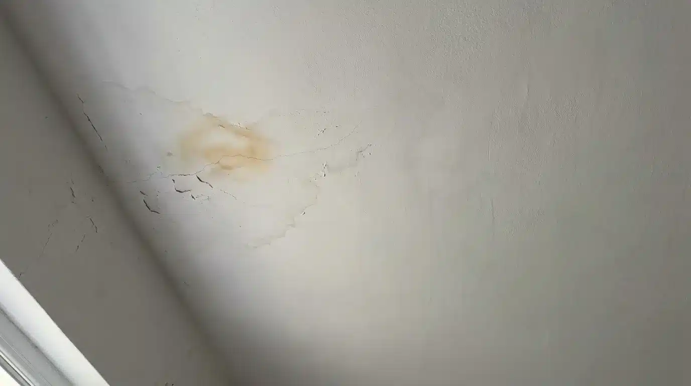 Ceiling with visible water stains and cracks in indoor setting