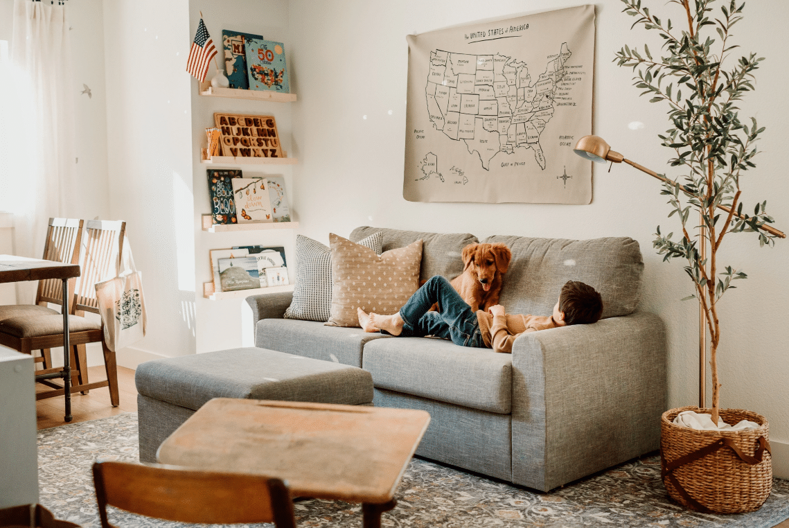 Child playing with a dog on a cozy couch.