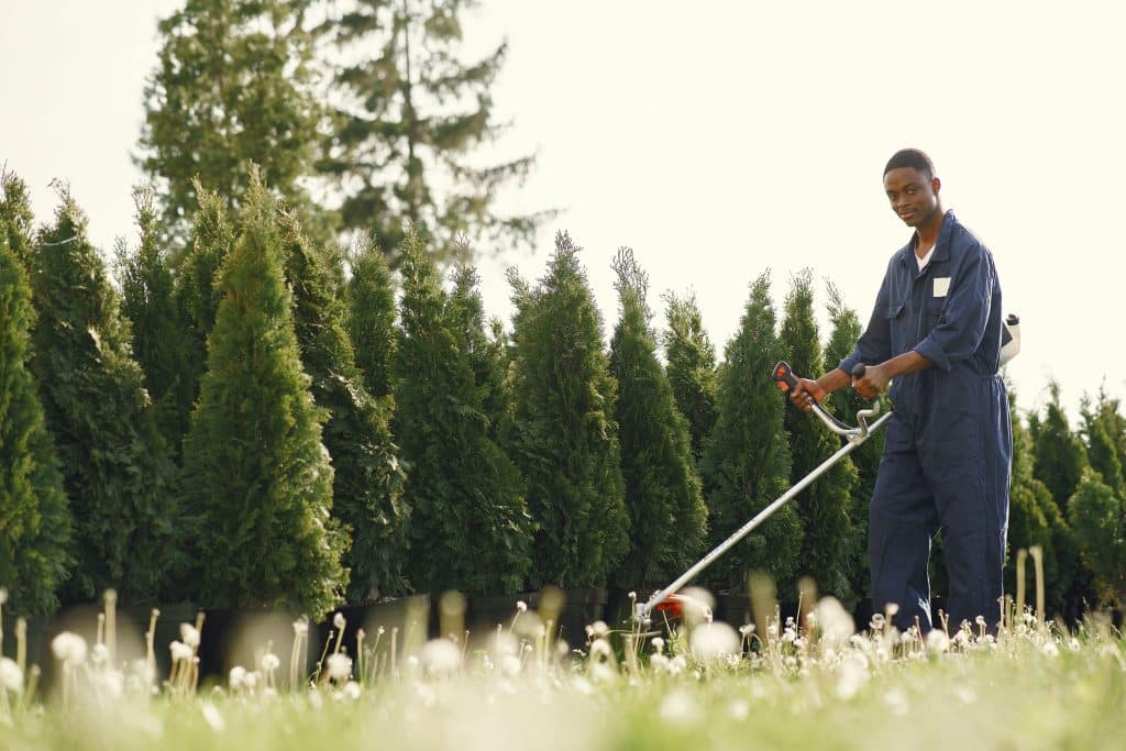 What to Look for in a Professional Landscaping Service