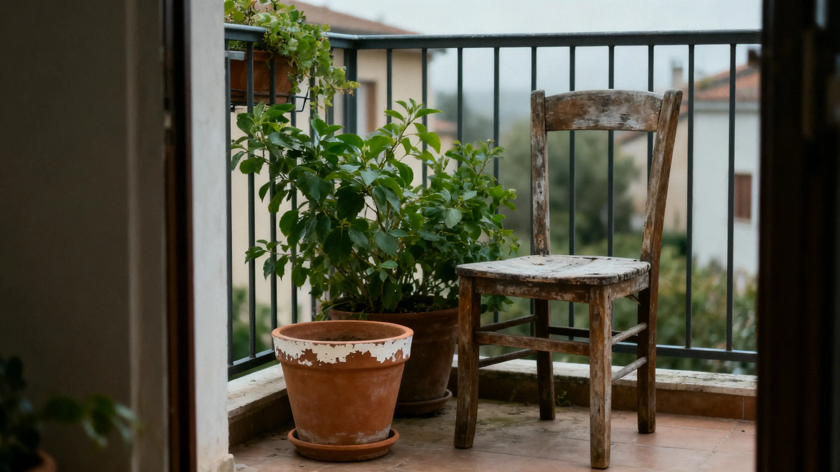 Weathered wooden chair and potted plants on a small balcony with railing