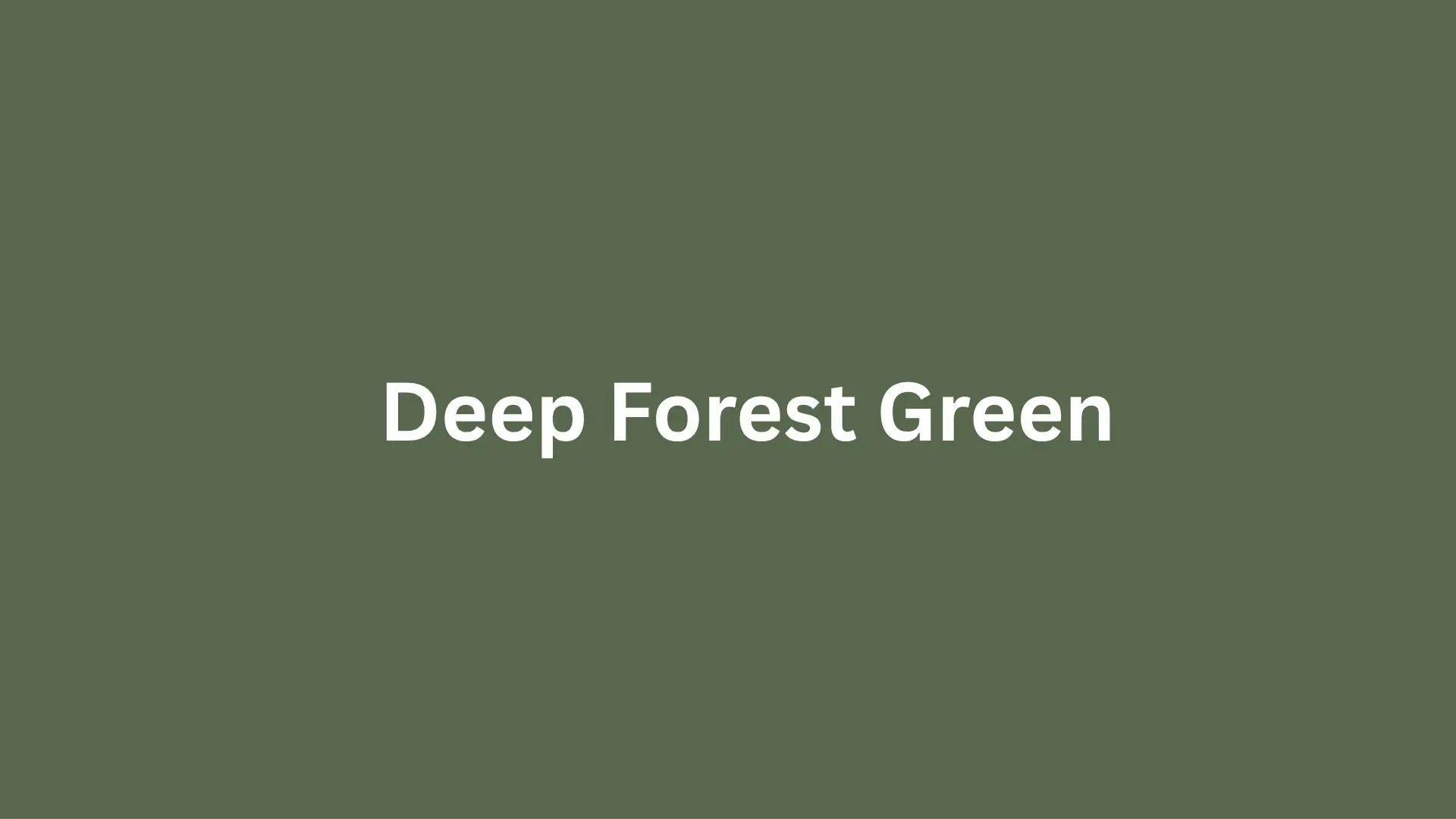 Deep Green Forest text on a forest green background.