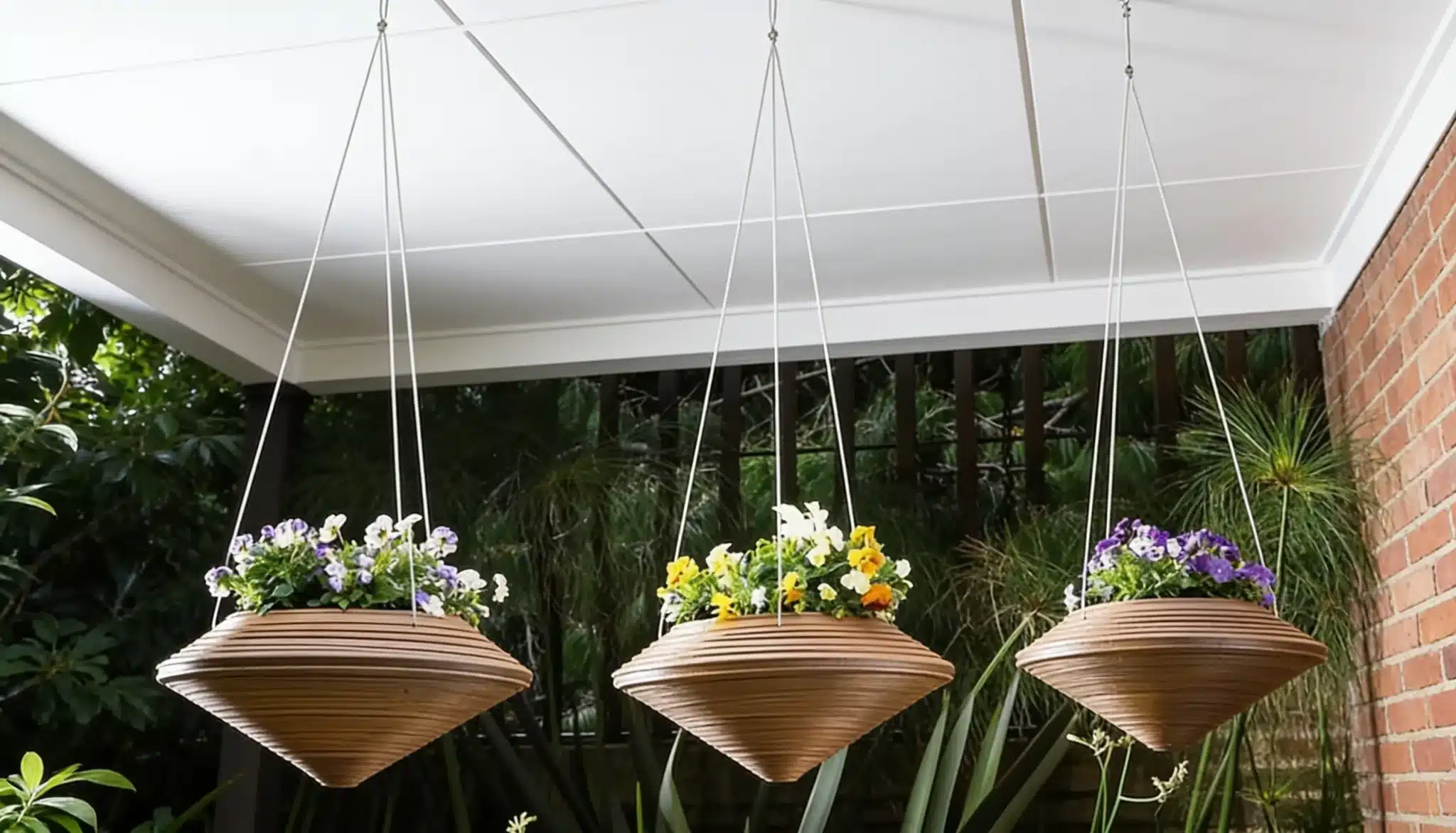 hanging-plants-from-ceiling