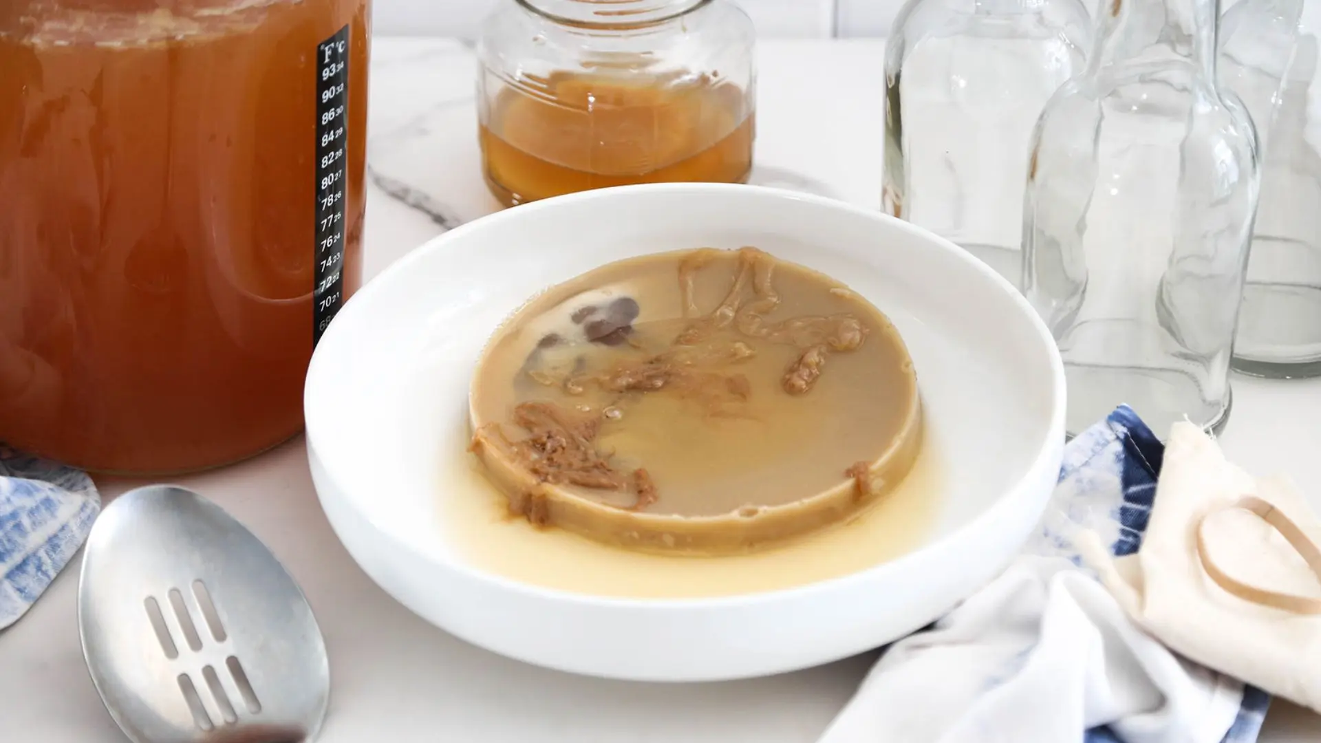 A SCOBY sits in a bowl of kombucha next to a large jar of the fermented tea and empty bottles.