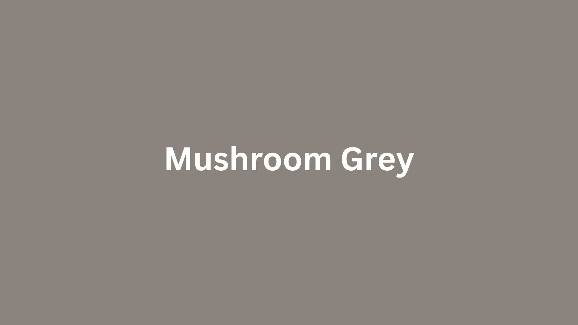 Mushroom grey color swatch on a white background, showcasing a soft, muted grey tone.