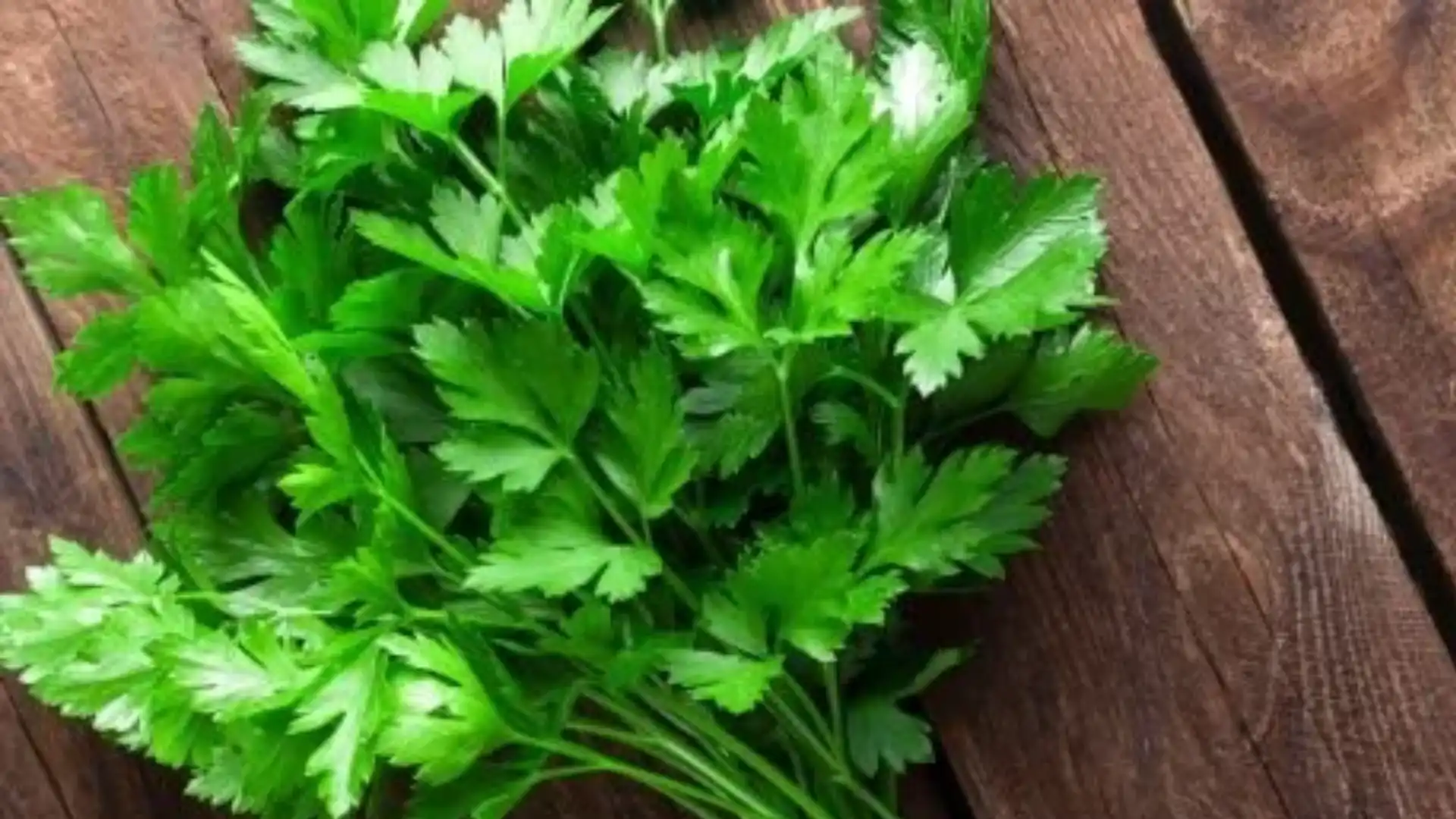 roses-with-parsley