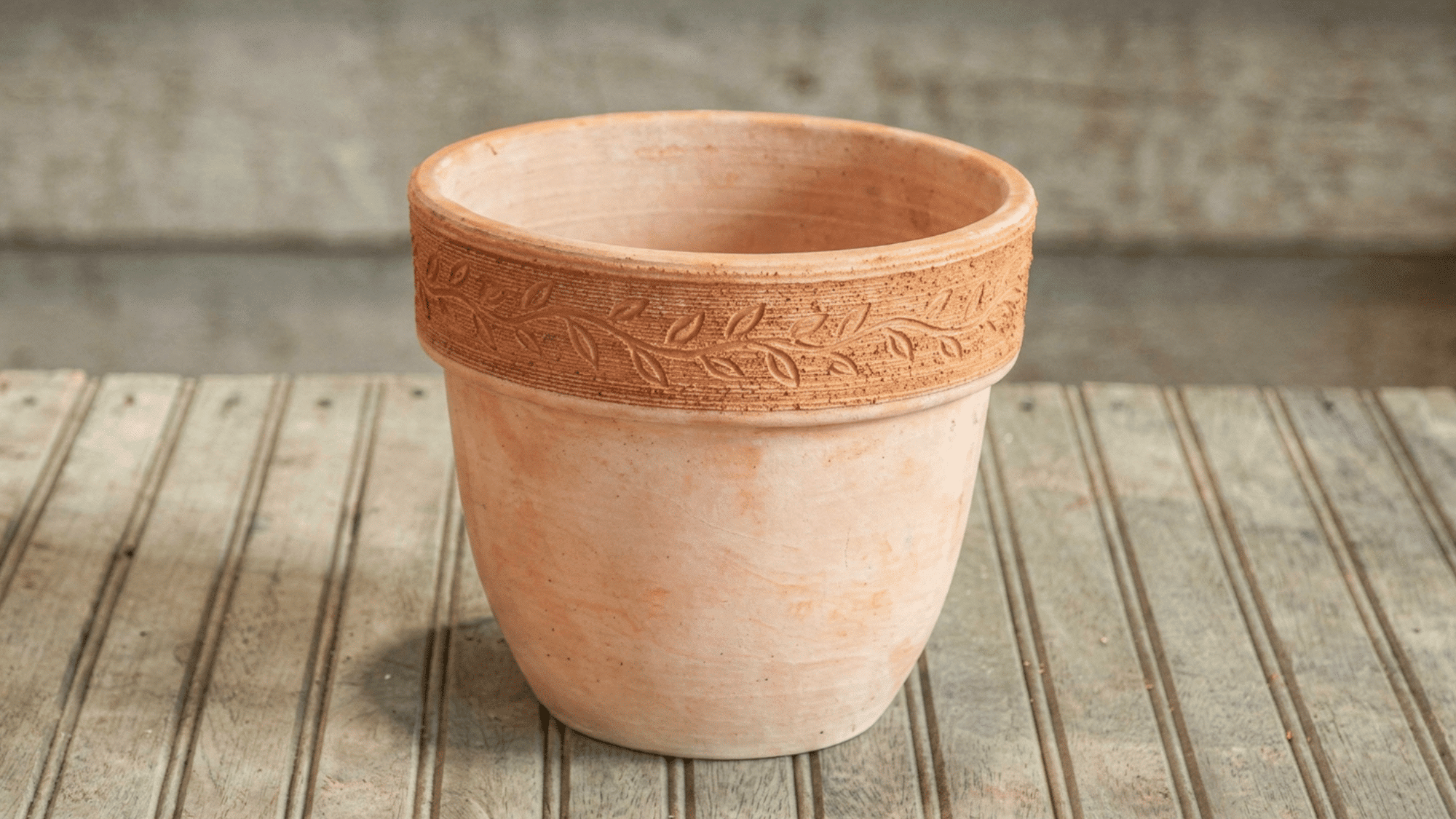 selection of pot for planting amaryllis bulb