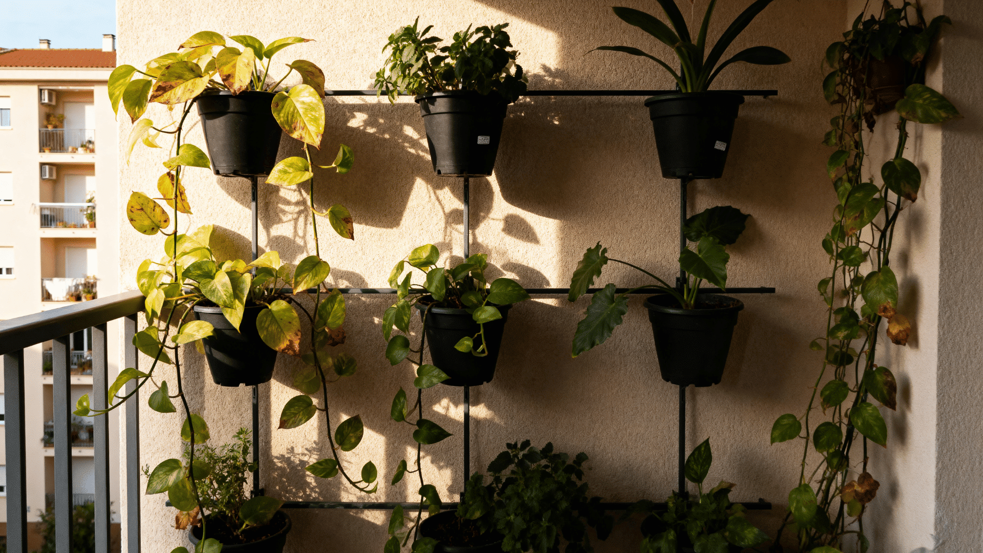 a cozy apartment balcony with a vertical garden wall featuring hanging pots, climbing plants, and natural urban surroundings