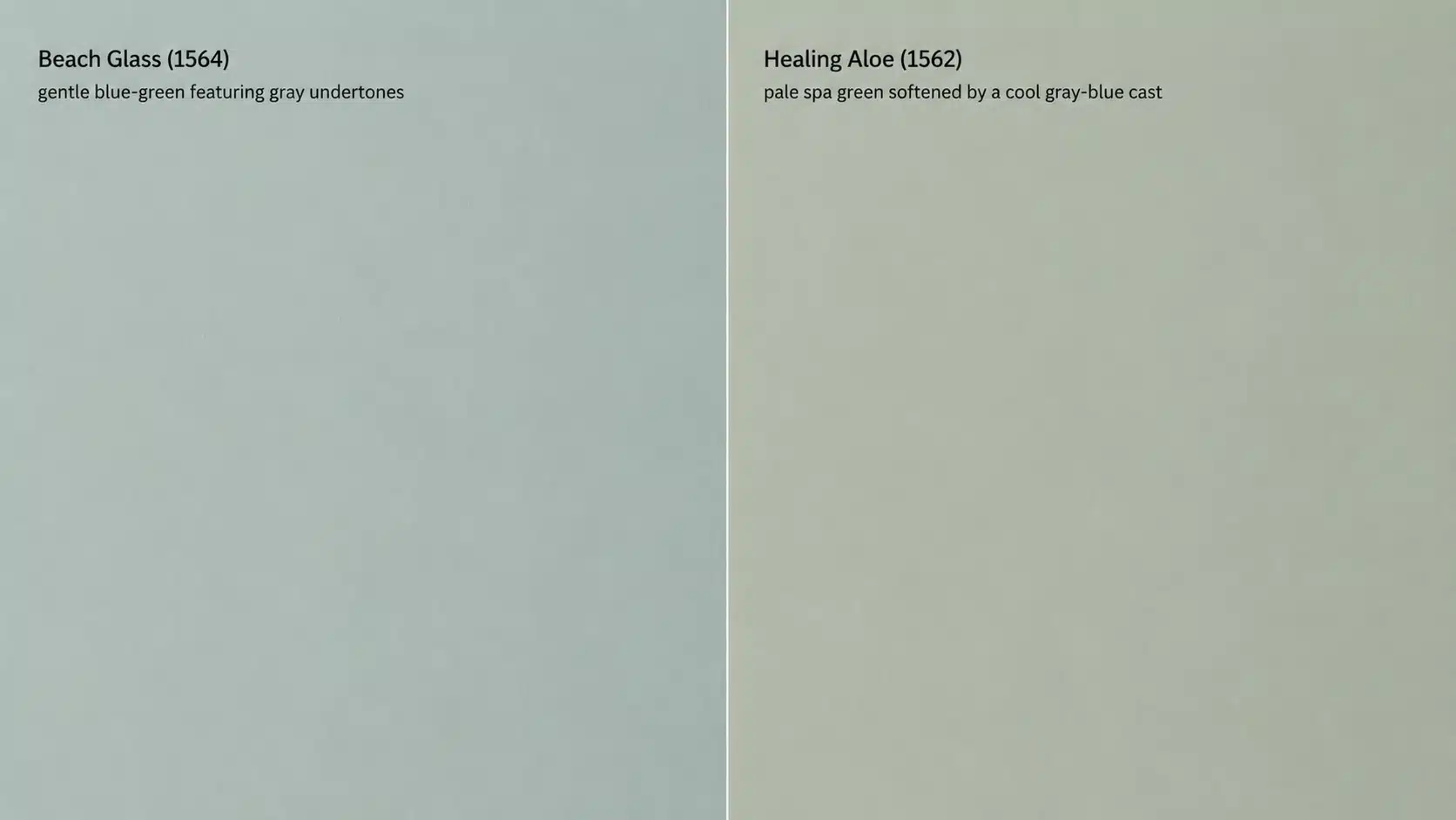Side-by-side comparison of Benjamin Moore Beach Glass (1564) and Healing Aloe (1562) on plain walls.