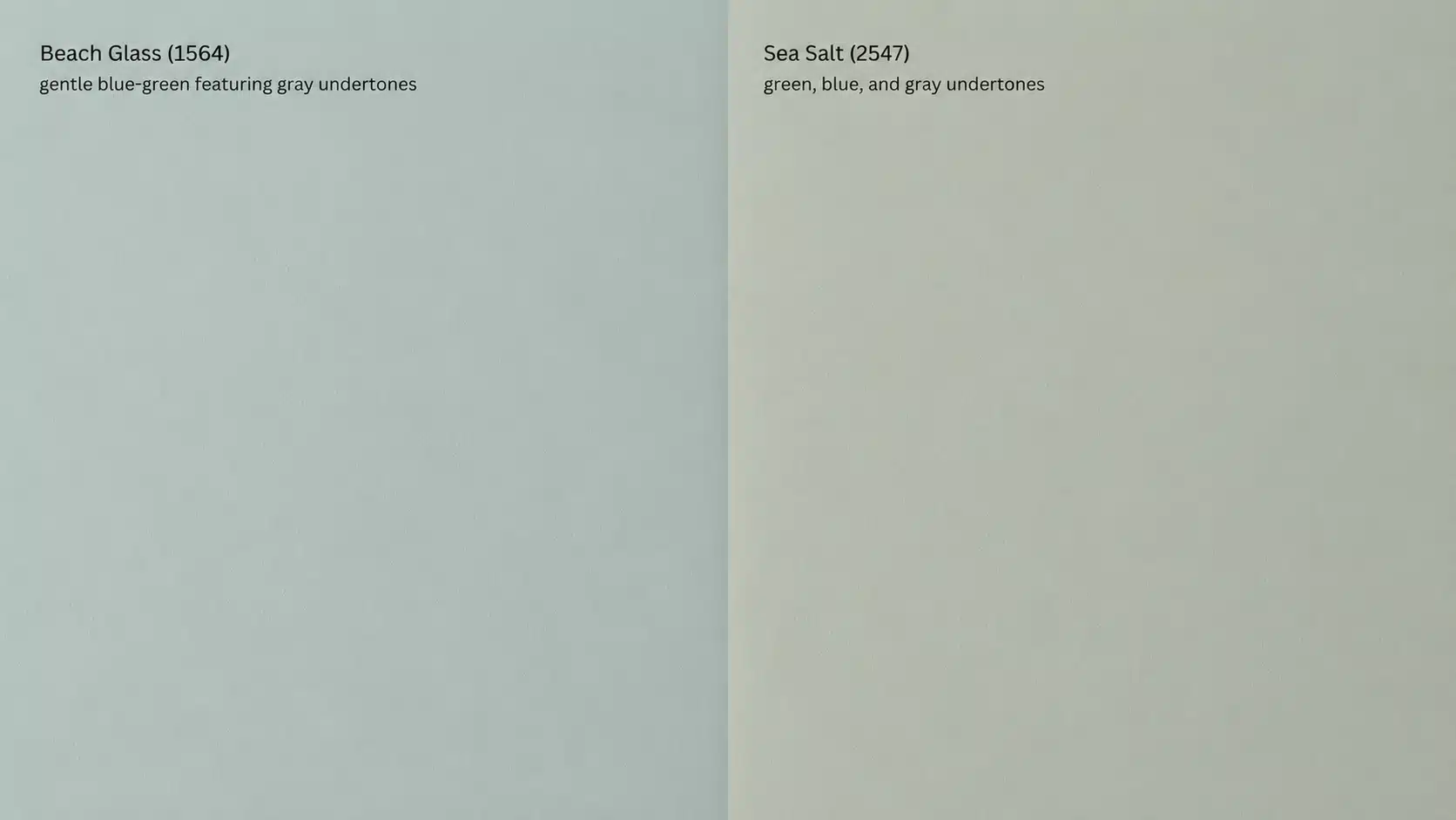 Side-by-side comparison of Benjamin Moore Beach Glass (1564) and Sea Salt (2547) painted on plain walls, highlighting their soft blue-green and muted green-blue-gray undertones.