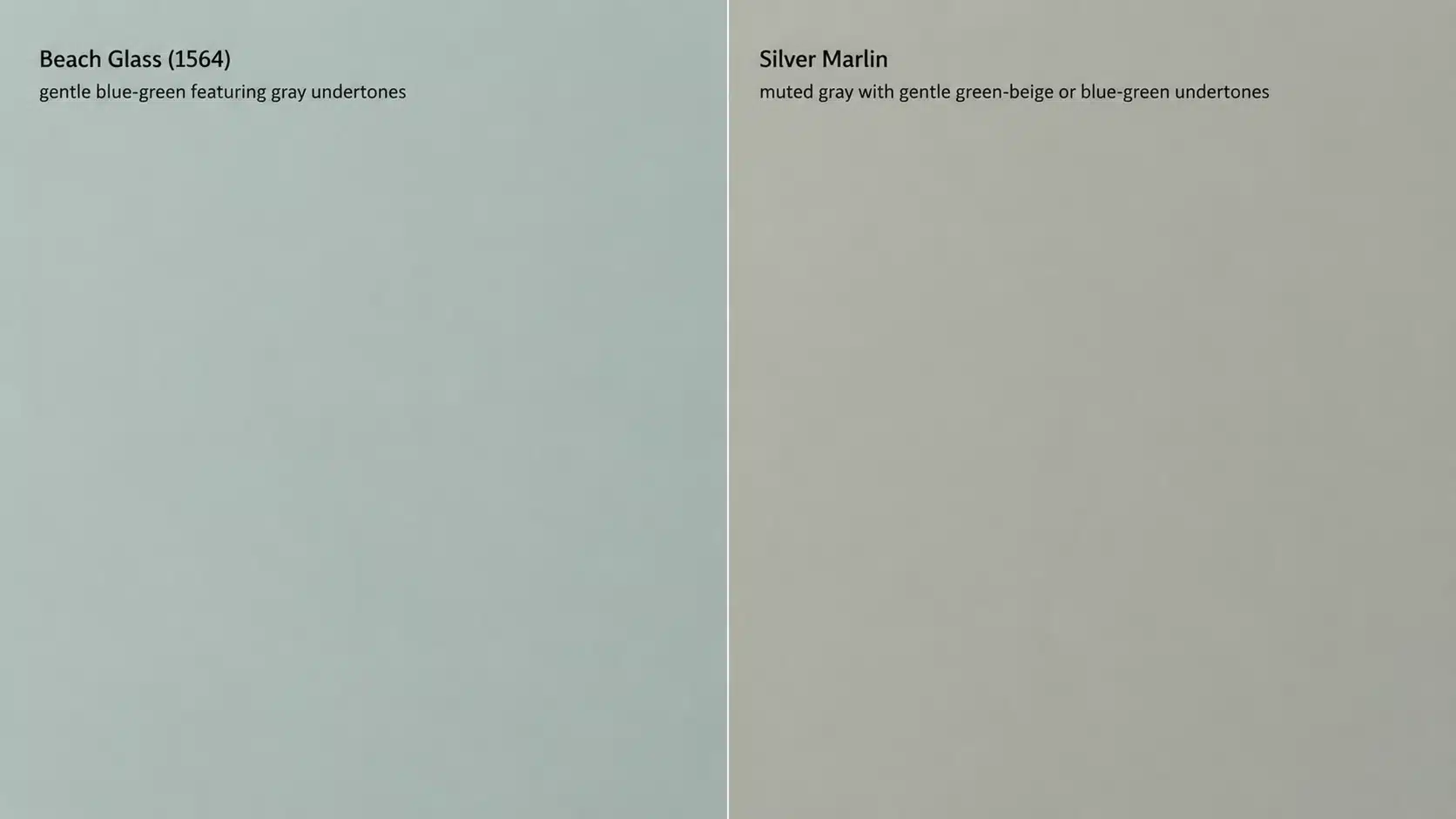 Side-by-side comparison of Benjamin Moore Beach Glass (1564) and Silver Marlin on plain walls.