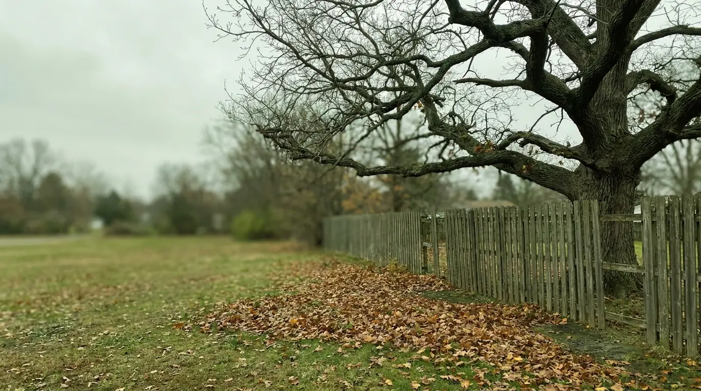 Large bare tree beside wooden fence with fallen leaves in rural landscape