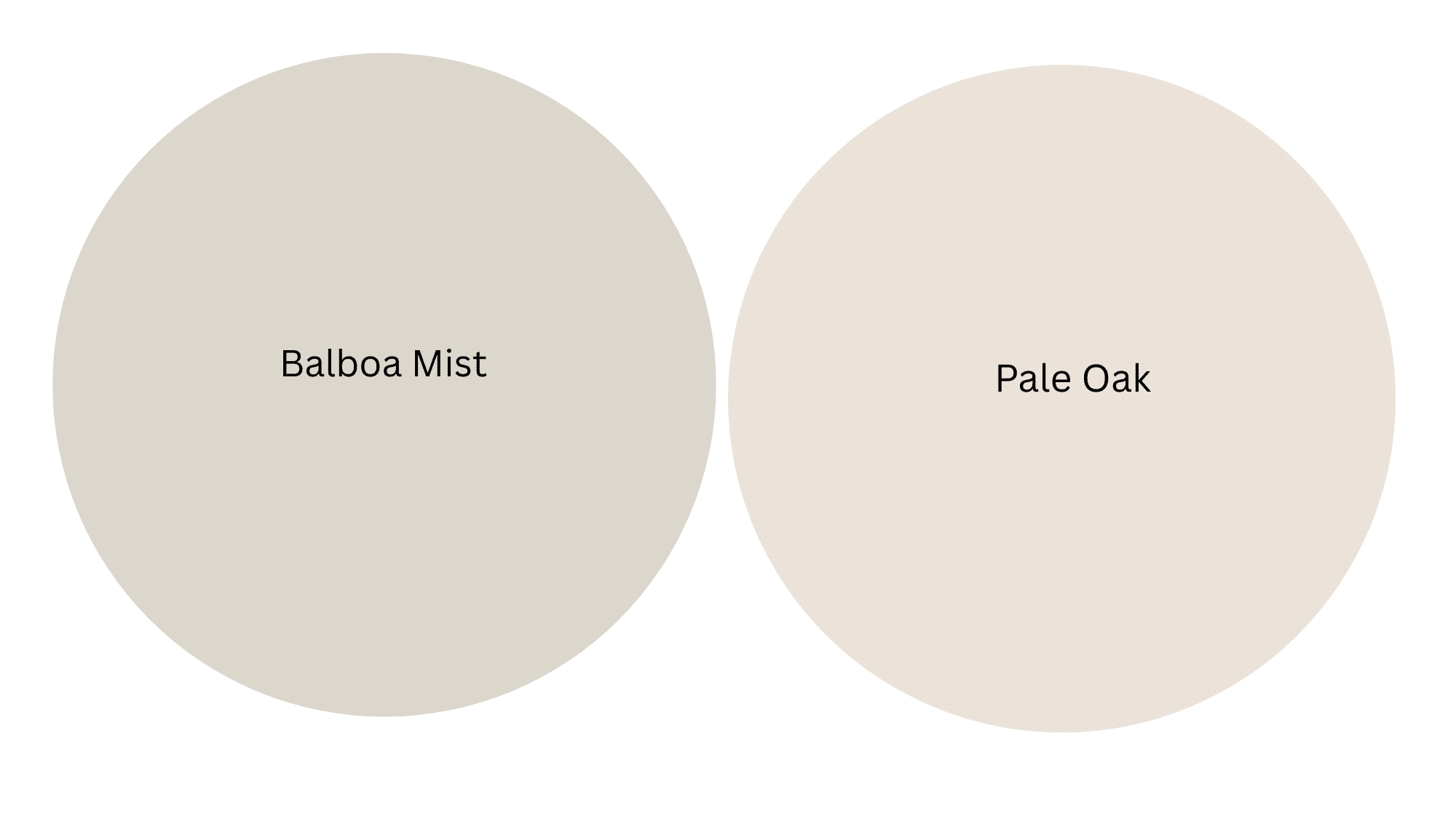 two paint swatches labeled balboa mist on the left and pale oak on the right