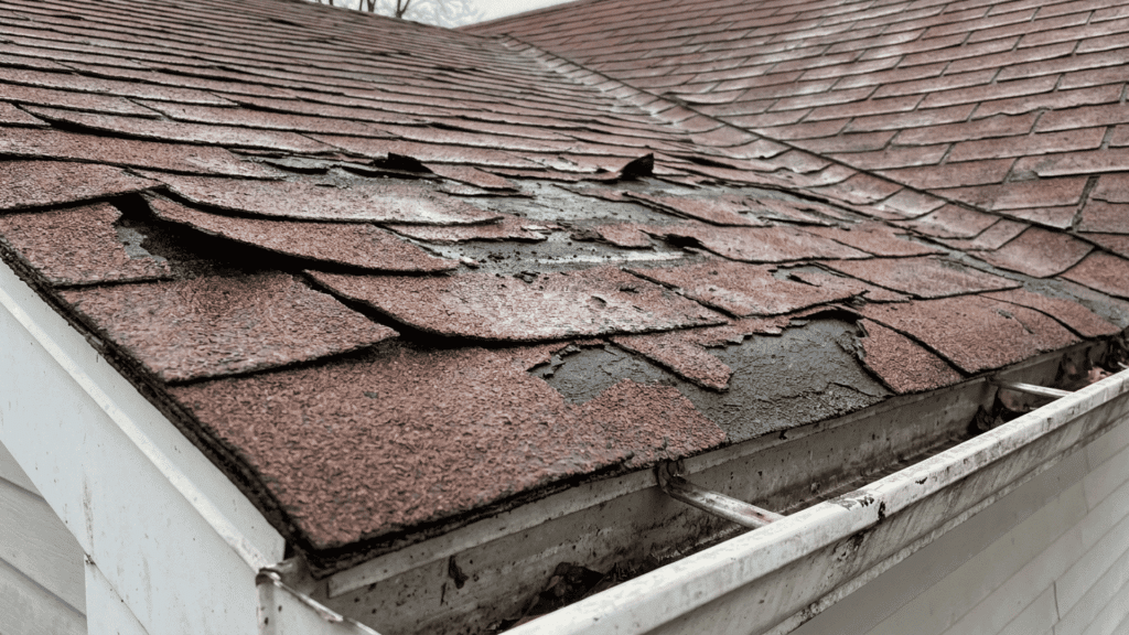 close up of an aging asphalt shingle roof with curling and peeling shingles above a white gutter