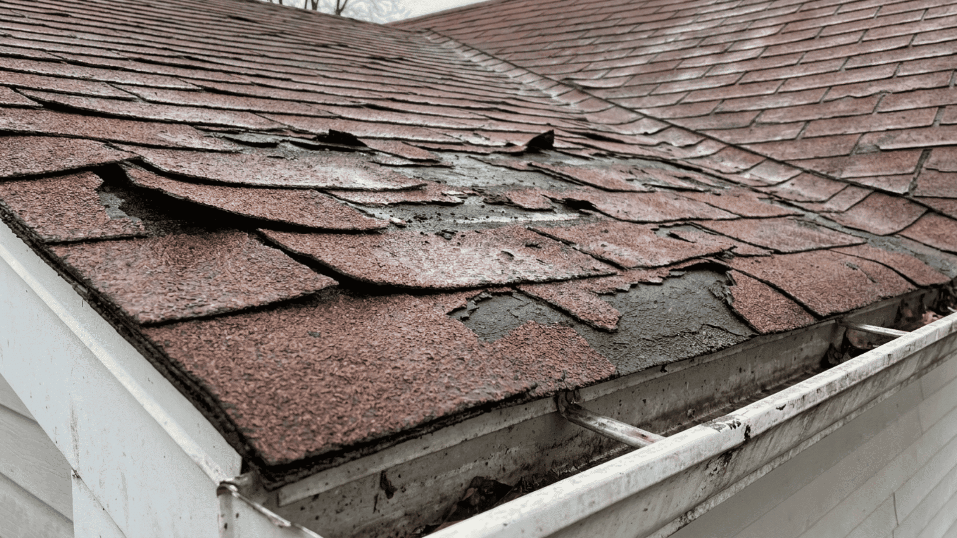 close up of an aging asphalt shingle roof with curling and peeling shingles above a white gutter
