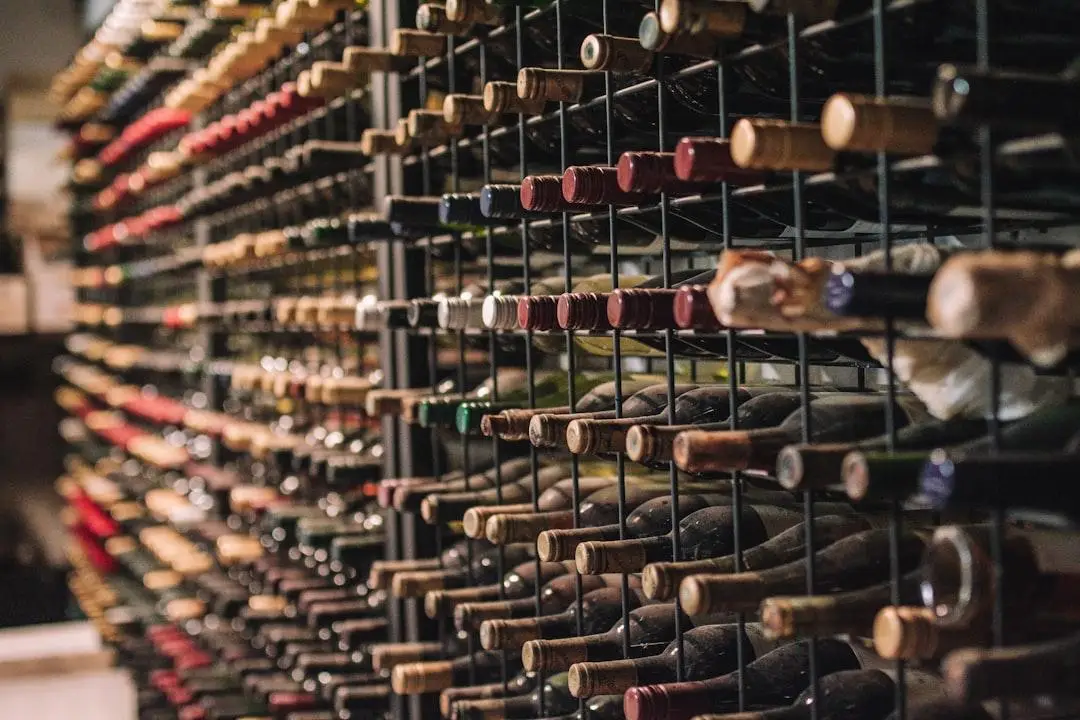 Wine bottles stored on black metal rack with rows of cork-topped bottles in a cellar