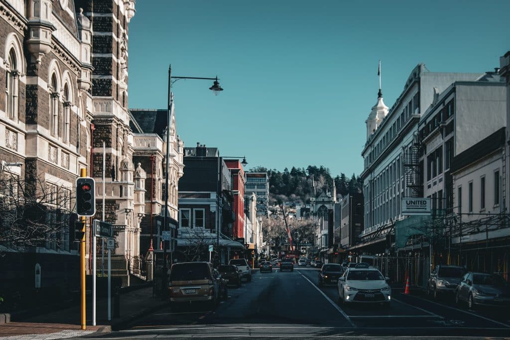 What Newcomers Learn Fast About Living in Dunedin