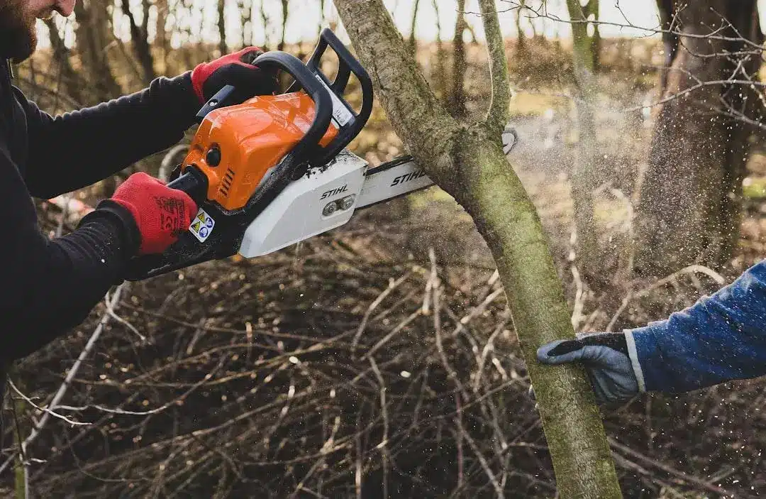 Chainsaw cutting through tree branch in forest with red-gloved hands operating tool