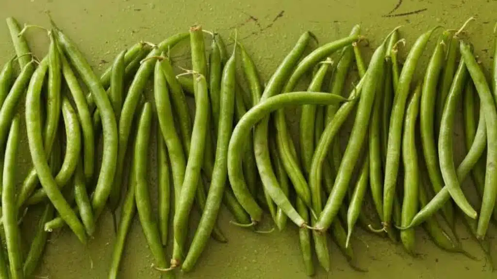 A cluster of fresh green beans arranged on a vibrant green surface.