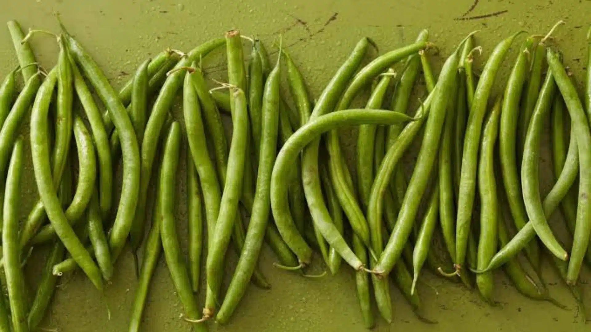 A cluster of fresh green beans arranged on a vibrant green surface.