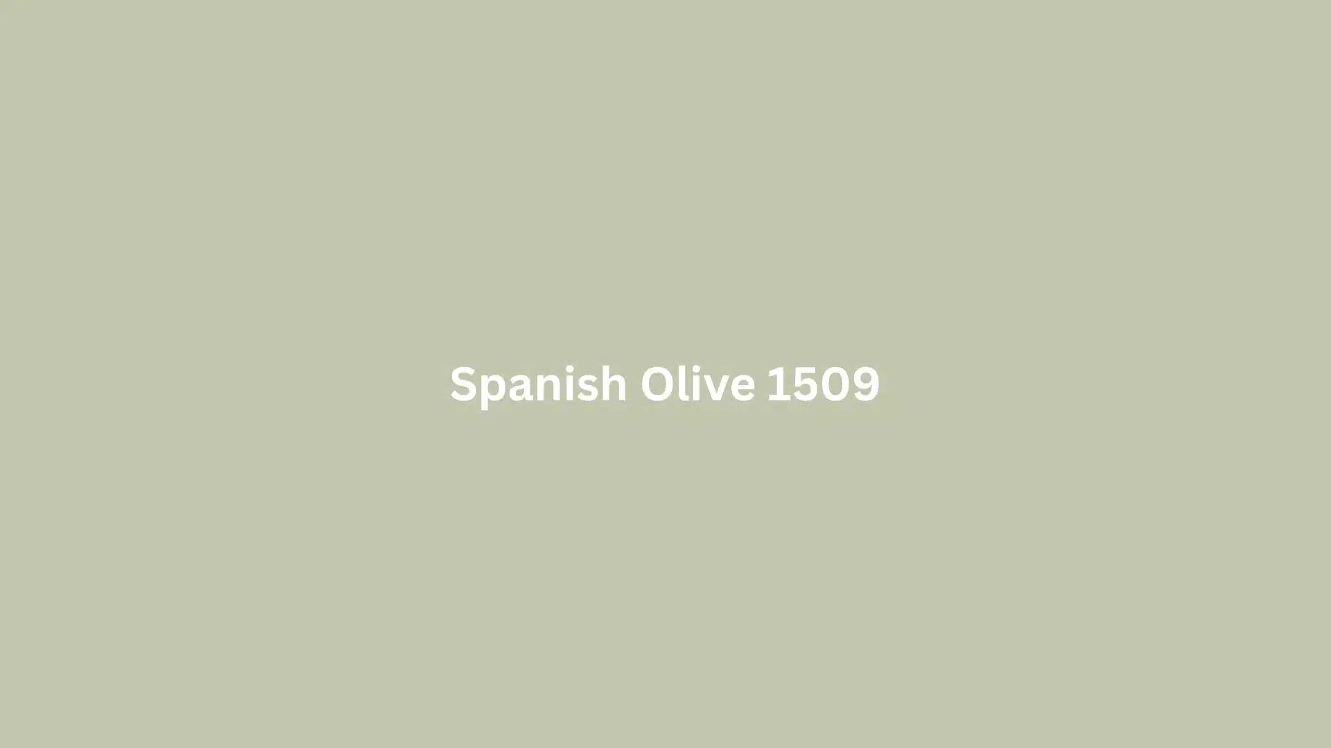 Green background featuring the text