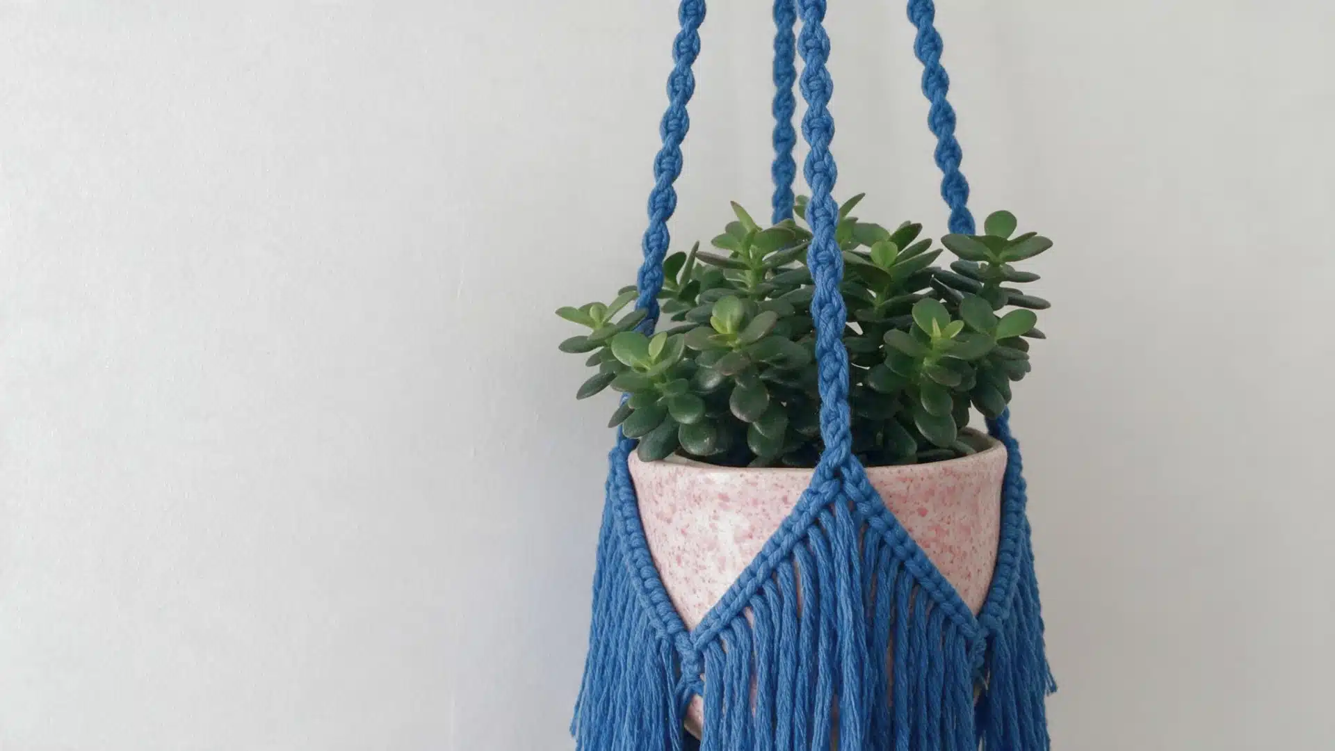 Blue crochet plant hanger with long fringe holding a pink speckled pot filled with a compact green succulent.