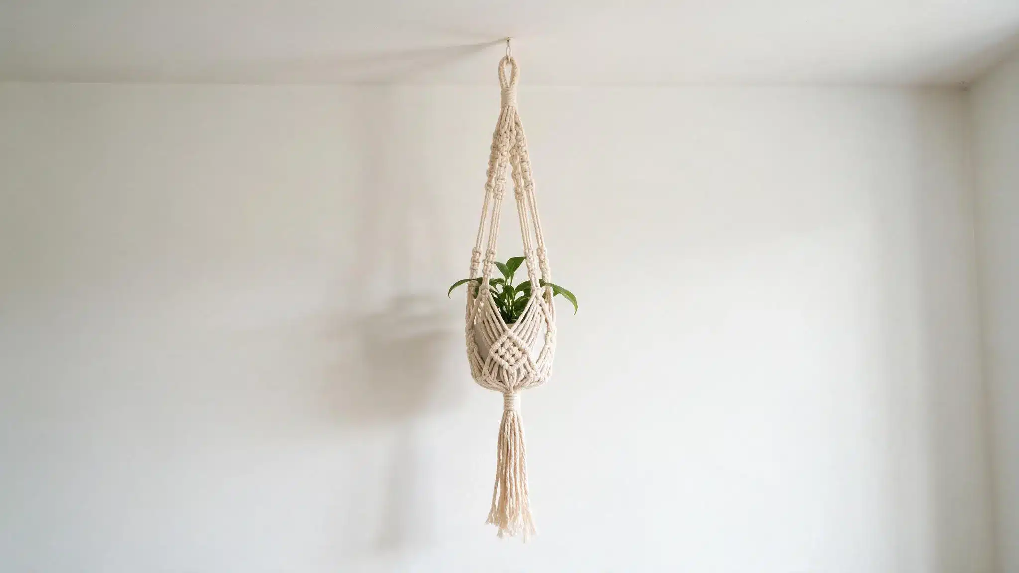 Macrame plant hanger suspending a green potted plant against white wall