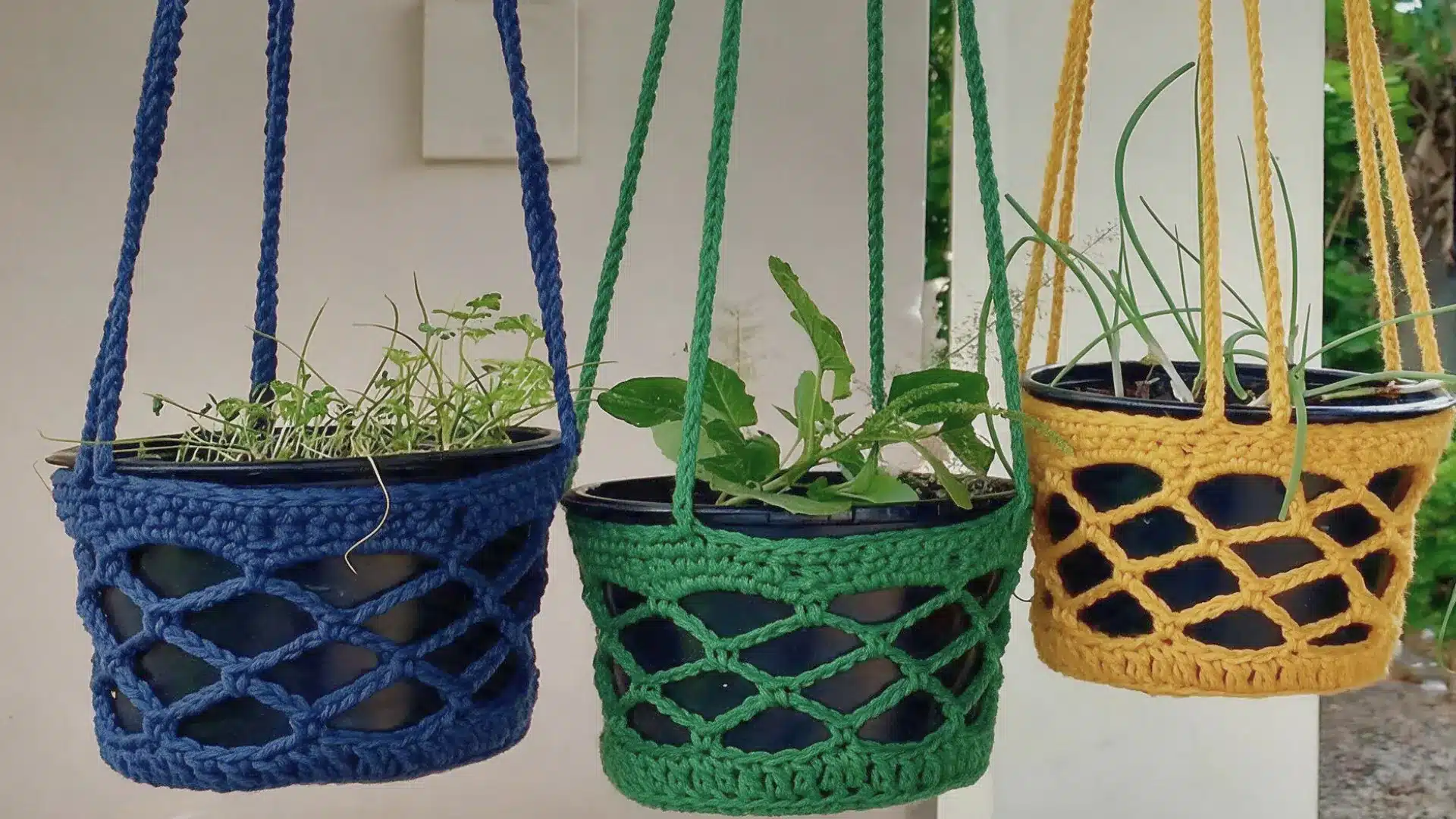 Blue green and yellow mesh crochet plant hangers holding black pots with small green plants outdoors.