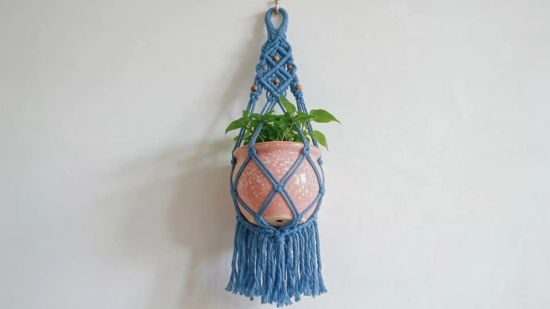 Minimalist blue crochet plant hanger with fringe holding a pink ceramic pot and small green plant against a plain wall.