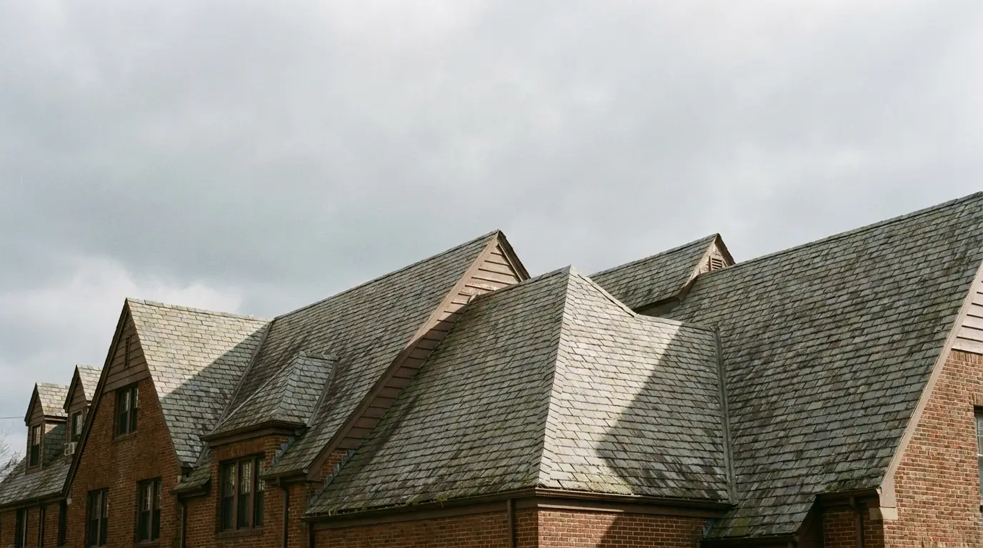 Cluster of gabled rooftops with slate tiles under cloudy sky