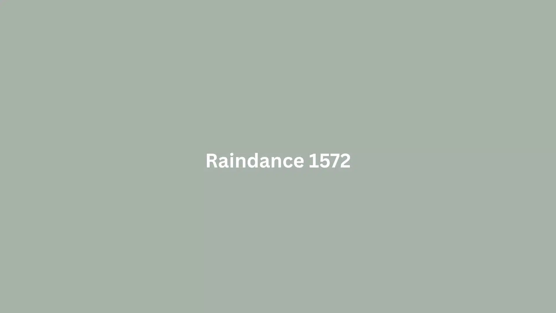 White text reading “Raindance 1572” centered on a plain gray-green background.