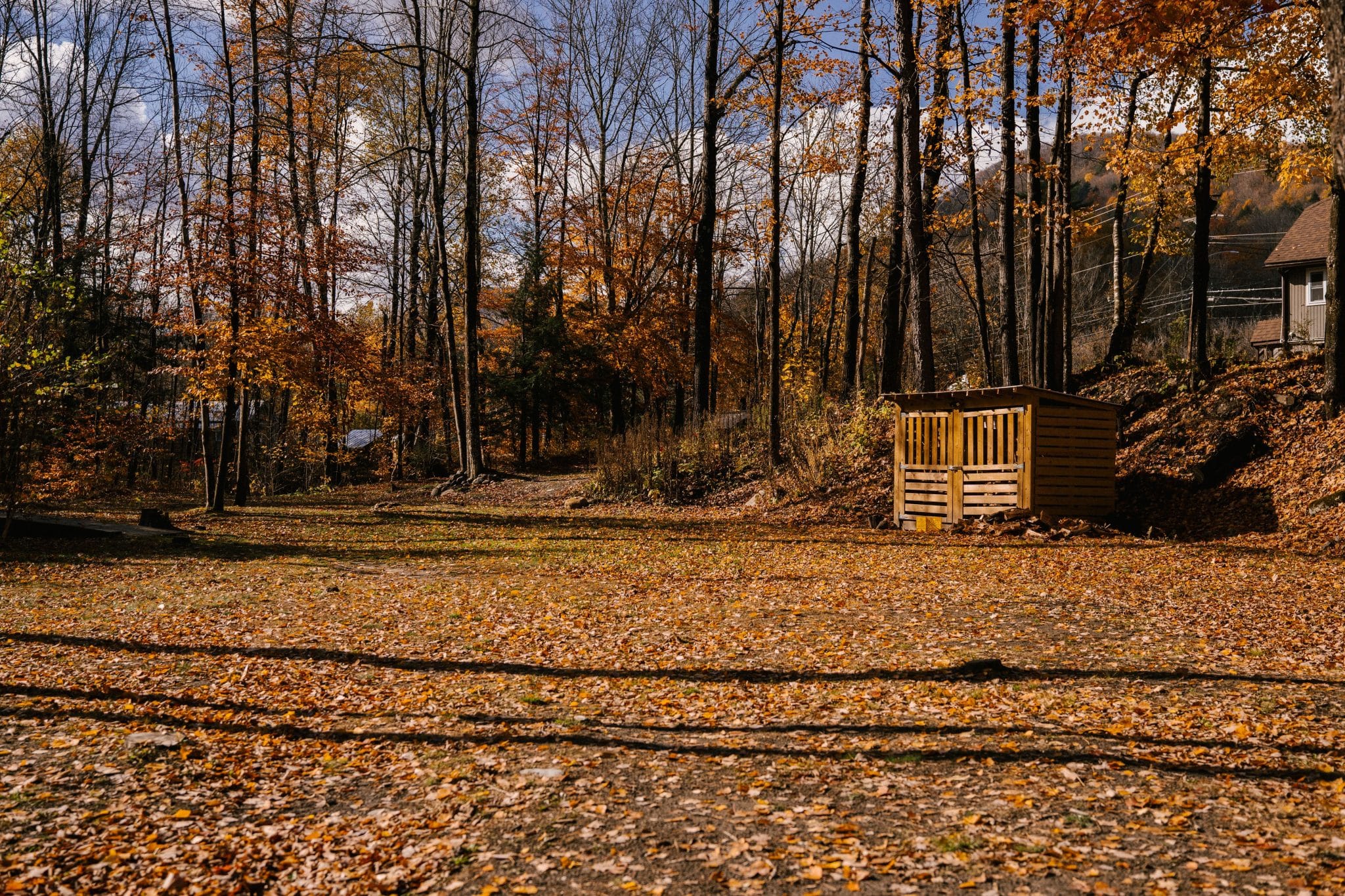 Why Fall Is a Smart Time to Pump Your Septic Tank